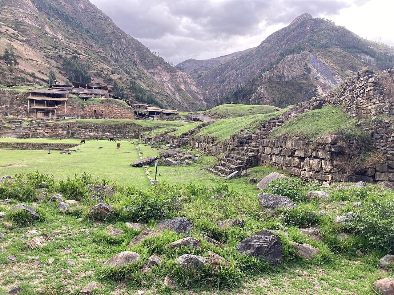 3,000년 전 안데스 신탁은, 정말로 소라 소리로 말했다